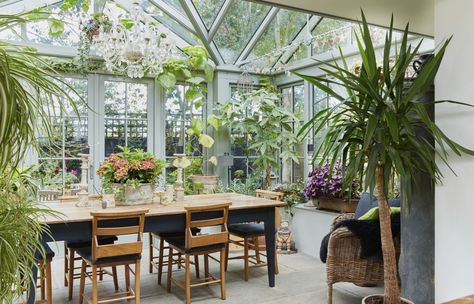 Conservatory Ideas Plants, Edwardian Orangery, Inside Garden Room, Lean To Conservatory Ideas, Garden Room Ideas Interior Design, Biophilia Interior Design, Orangery Dining Room, Victorian Conservatory Interior, Conservatory Ideas Interior