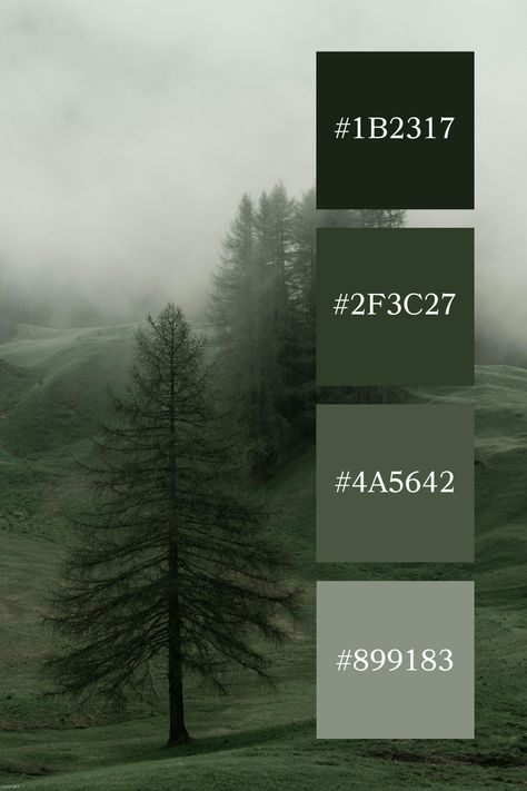 Foggy Hillside: Tall, slender trees standing quietly on a foggy hillside, with the muted green grass and trees blending seamlessly into the misty atmosphere, embodying a muted green color palette. Forest Green Branding Palette, Swampy Color Palette, Muted Green Interior, Forest Green And Grey Color Palette, Color Combo For Green, Muted Greens Color Palette, Pine Tree Color Palette, Black White Grey Green Color Palette, Dark Forest Green Color Palette