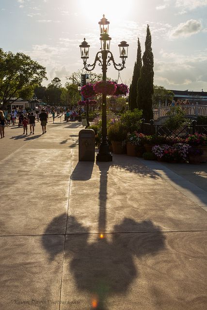 Hidden Mickey Shadow [Explored 4/10/13 #481] by Kevin-Davis-Photography on Flickr.  That’s Disney for you. Hidden Mickeys, Disney Cute, Images Disney, Disney Side, Hidden Mickey, Disney Life, Disney Resort, To Infinity And Beyond, Disney Kids