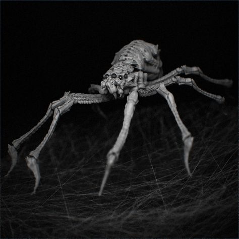 ArtStation - spider, robin benes Monster Spider, Spider Sculpture, Big Spiders, Creepy Spider, Spider Art, Alien Concept Art, Alien Creatures, Fantasy Monster, Creature Feature