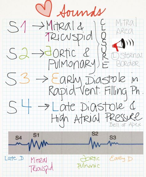 Echocardiography Study, Npte Study Tips, Heart Sounds Nursing, Memes Nursing, Nursing Pictures, Np School, Paramedic School, Medical Graduate, Heart Sounds