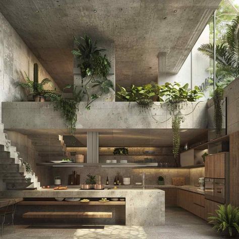 kitchen tropi brutalist Brutalist Design Interior, Industrial Tropical Interior Design, Tropical Brutalism Architecture, Industrial Tropical Interior, Industrial Tropical House, Modern Concrete Interior Design, Brutalist Architecture House, Tropical Industrial House, Eco Brutalism Architecture