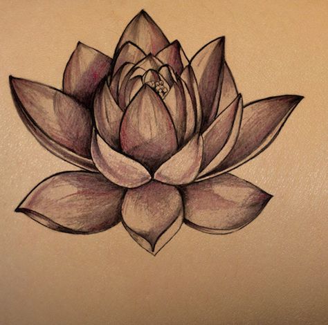 Lotus Flower Drawings, Wildflowers Tattoo, Lotus Flower Drawing, Dark Skin Tattoo, Water Lily Tattoos, Tattoo Foot, Skin Tattoo, Lotus Tattoo Design, Polynesian Tattoos