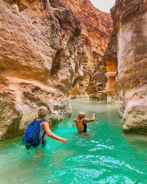 David Attenborough Fandom | Havasu Creek In Arizona, USA | Facebook Havasu Creek Arizona, Havasu Lake Arizona, Village Of Oak Creek Arizona, Wet Beaver Creek Arizona, David Attenborough, Arizona Usa, Arizona, Favorite Places, The Incredibles