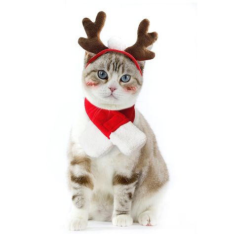 Enjoying Small Pet Costume Cat Dog Christmas Outfit, Xmas Antler Headband with Scarf, Santa Suits, Cat Sailor Costume, Christ Dog Christmas Outfit, Cat Christmas Costumes, Pet Costumes Cat, Christmas Dog Outfits, Sailor Costume, Reindeer Hat, Merry Christmas Dog, Antler Headband, Dog Christmas Card