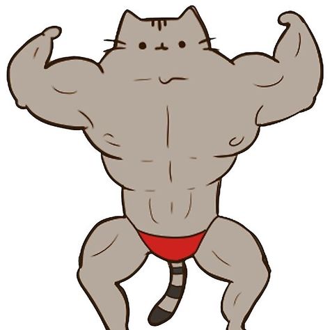 Gym Cartoon, Cat Gym, Cat Emoji, Cat Doodle, Hello Kitty Drawing, Cat Pose, Funny Drawings, Funny Tshirt, Art Prompts