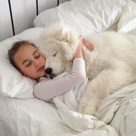 Dog Cuddles, Puppy Cuddles, Samoyed Puppy, Samoyed Dogs, Dog Photoshoot, Pretty Dogs, White Dog, Happy Animals, Love Pet