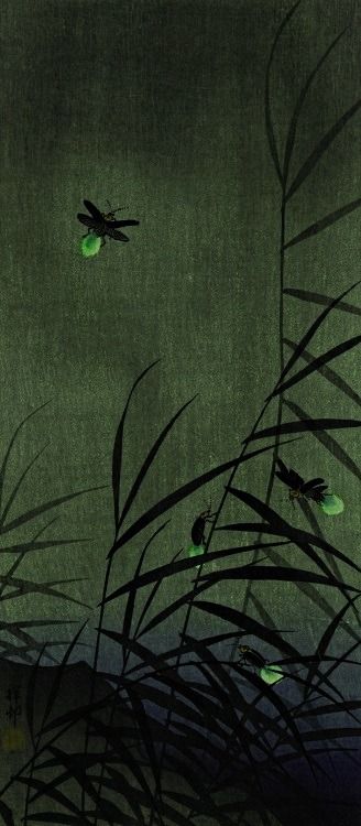 'Fireflies' (c.1930) by Japanese artist & printmaker Ohara Koson (1877-1945) Firefly Art, Art Chinois, Ohara Koson, Japanese Artwork, Eastern Art, Art Japonais, Japanese Woodblock Printing, Japanese Painting, Jairzinho