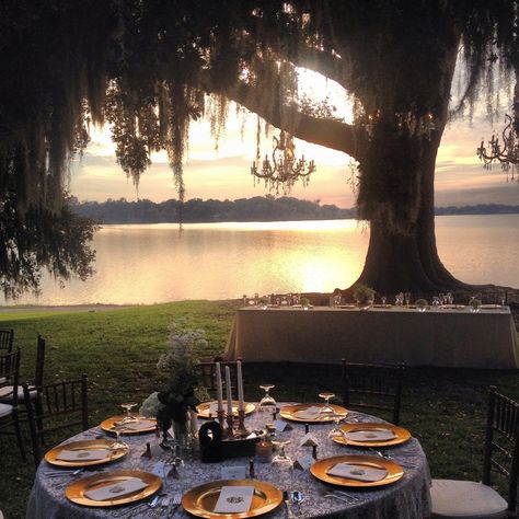 Bayou Wedding, Louisiana Wedding Venues, Louisiana Wedding, Lafayette Louisiana, New Orleans Wedding, Future Wedding Plans, Southern Wedding, Wedding Mood, Dreamy Wedding