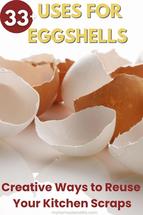 33 Uses For Eggshells: Creative Ways to Reuse Your Kitchen Scraps - My Homestead Life Grocery Hacks, Napkin Art, Seed Starters, Growing Crystals, Kitchen Scraps, Homestead Life, Acid Base, Calcium Supplements, Seed Starter