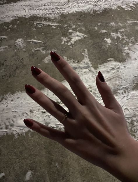 красные ногти Chaotic Academia Nails, Dark Blood Red Nails, Vampire Aesthetic Nails, Vampire Nails Short, Short Vampire Nails, Dark Red Nails Aesthetic, Pomegranate Makeup, Tvd Nails, Blood Red Nails