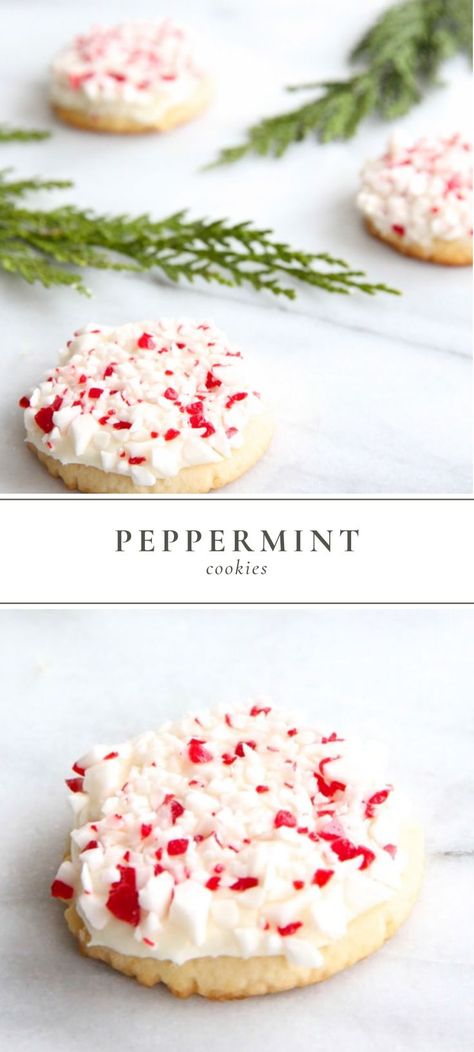 Peppermint Buttercream, Peppermint Cookie Recipe, Christmas All Year, Peppermint Recipes, Peppermint Sugar Cookies, Cookie Base, Peppermint Sugar, Holiday Dessert Recipes, Soft Sugar Cookies