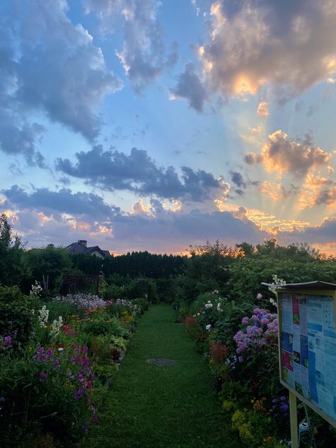 Summer Eastern Europe, Eastern European Summer Aesthetic, Eastern Europe Aesthetic Summer, Romanian Snacks, Eastern Europe Summer, Eastern European Summer, Poland Countryside, Eastern Europe Aesthetic, Poland Aesthetics