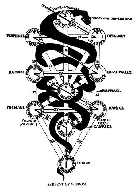 Serpent of Wisdom Giant Pool, Esoteric Symbols, Devil You Know, Alchemy Art, Black Arts, Snake Art, Everything Is Connected, Native American History, Weird World