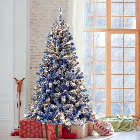 Blue spruce tree