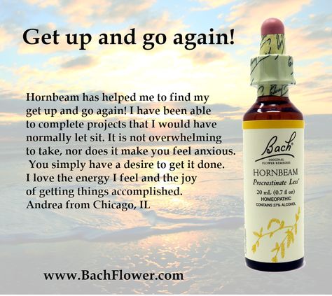 Flower Essences Remedies, Rescue Remedy, Healing Flowers, Bach Flowers, Homeopathy Remedies, Flower Remedies, Medicine Notes, Bach Flower Remedies, Homeopathy Medicine