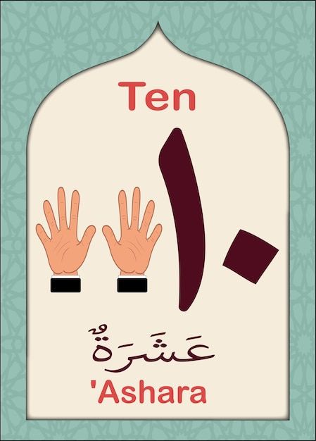 Numbers Flashcards, Arabic Numbers, Flashcards For Kids, Flash Card, Number 10, Islam Facts, Iconic Photos, My Photo Gallery, Premium Vector