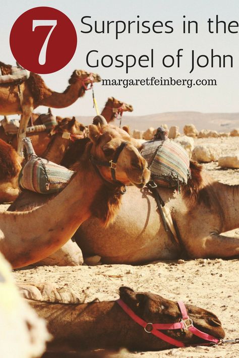 7 Surprises in the Gospel of John | margaretfeinberg.com Book Of John Bible Study, Bible Fasting, John Gospel, Bible Study John, John Bible Study, Bible Puzzles, John Bible, Bible Study Fellowship, Bible Study Worksheet