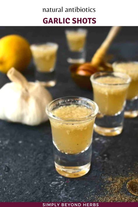 Garlic As An Antibiotic, Garlic Shots, Garlic Shoots, Natural Mosquito Repellent, Tinctures Recipes, Best Cough Remedy, Garlic Health Benefits, Garlic Juice, Garlic Benefits