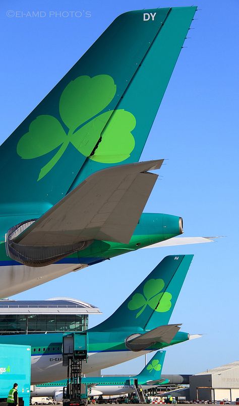 EI, Aer Lingus Airlines Branding, Aer Lingus, On The Wings Of Love, Commercial Plane, Dublin Airport, Airline Logo, Passenger Aircraft, Flight Tickets, Singapore Airlines