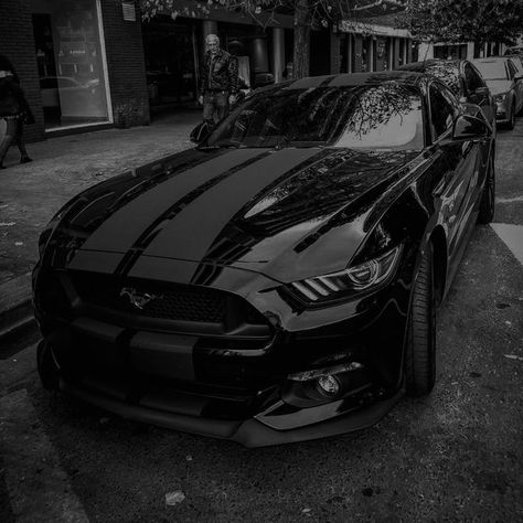 Siyah Mustang, Black Mustang Gt, Corsa Wind, Black Mustang, Mustang Wallpaper, Mustang Car, Ford Mustang Car, Mustang Cars, Classy Cars