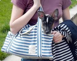 13 DIY Dog Travel Accessories To Make Your Next Outing Effortless - BARK Post Dog Carrier Pattern, Diy Dog Bag, Carrier Pattern, Dog Travel Accessories, Biking With Dog, Dog Carrier Bag, Travel Outfit Summer, Dog Bag, Travel Diy