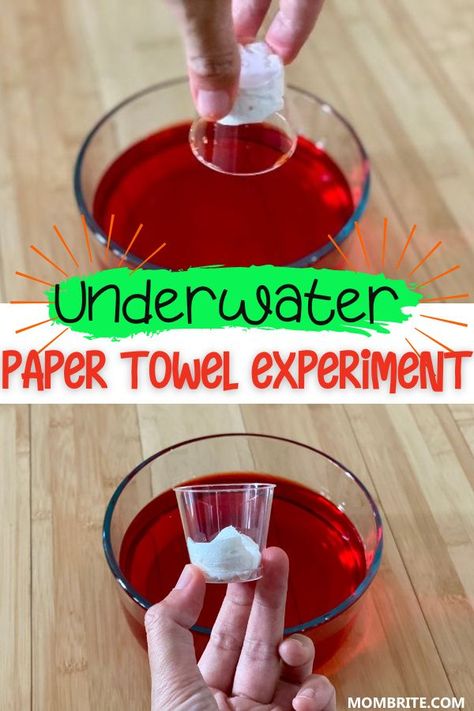 Paper Towel Water Experiment, Veterans Day Science Experiment, Summer Theme Preschool Activities Science Experiments, Oil And Water Experiments For Kids, Paper Towel Science Experiment, Water Exploration Preschool, Discrepant Event Science Elementary, Space Science Experiments For Preschool, Wet And Dry Activities For Preschoolers