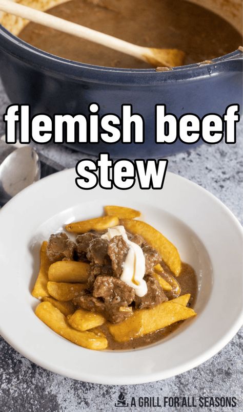 Beer Stew Recipe, Flemish Beef Stew, Belgian Beef Stew, Belgian Recipes, Beef Stew With Beer, Beer Stew, Finnish Food, Belgium Food, Belgian Food