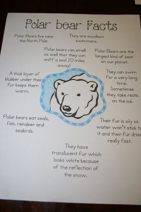 Polar bear facts                                                                                                                                                                                 More Polar Bears Preschool, Polar Bear Unit, Polar Bears Activities, Arctic Animals Preschool, Polar Bear Theme, Polar Bear Facts, Bear Facts, Bear Activities, Bears Preschool