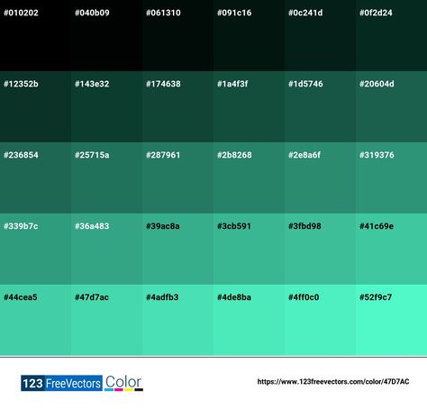 Pantone 3385 C | #47D7AC - Detailed Color Information and Usage Pantone Electric Blue, Pantone Cobalt Blue, Pantone Cerulean Blue, Pantone Classic Blue, Elemental Blue Pantone, Split Complementary Colors, Balloon Background, Valentine Background, Monochromatic Palette