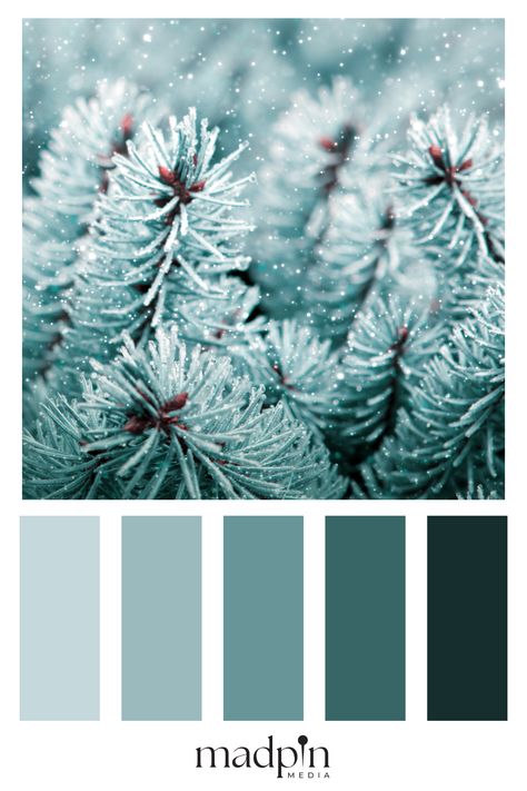 Crisp and cool winter color palettes blend icy tones like frosty grays with sharp whites and blues. These palettes evoke the serene beauty of winter, perfect for minimalist fashion or modern interiors. Cool colors bring a refreshing, clean aesthetic that’s perfect for those who love sleek, sophisticated vibes. Save this pin for more cool winter color inspiration! Winter Green Color Palette, Soft Winter Color Palette, Snow Color Palette, Winter Color Pallet, Color Pallets Aesthetic, January Color Palette, Winter Color Combos, Winter Pallette, Cool Winter Colors