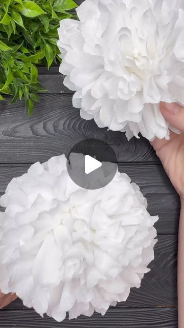 Easy Tissue Paper Flowers, Toilet Paper Flowers, Paper Peonies Tutorial, Tissue Paper Craft, Tissue Paper Flowers Diy, Diy Flores, Toilet Paper Crafts, Easy Paper Flowers, Paper Peonies