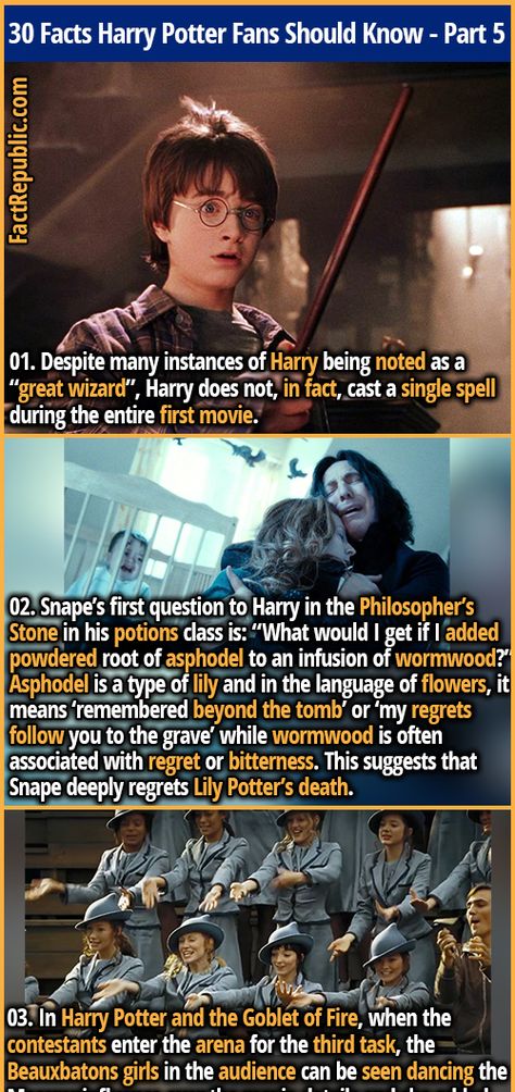 Snape's First Words To Harry, Fluffy Harry Potter, Harry Potter Fun Facts, Elf Cards, Harry Potter Spells List, Harry Potter Theories, Harry Potter Face, Always Harry Potter, Fact Republic