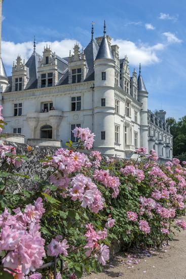 Vintage Castle Aesthetic, French Chateau Aesthetic, Flower Castle, Royalty Core, Dream Castle, Castle Mansion, Castle Aesthetic, Royal Aesthetic, Chateau Wedding