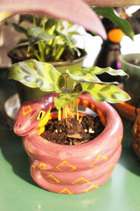 Diy Clay Plant Pots Aesthetic, How To Clay Art, Witchy Plant Pots, Pot Clay Art, Clay Plant Accessories, Clay Flower Pots Ideas, Diy Clay Plant Pots, Clay Plant Holder, Cool Plant Pots