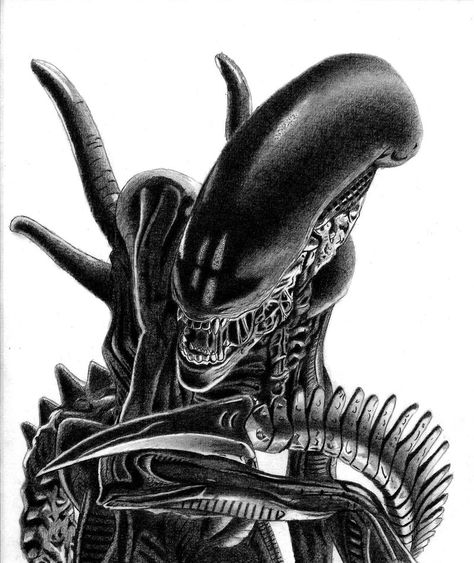 H.R. Giger's Xenomorph by Naitho on DeviantArt Alien Tattoo Xenomorph, Xenomorph Tattoo, Giger Alien, Mayan Tattoos, Predator Alien Art, Giger Art, H.r. Giger, Hair Stenciling, Alien Artwork