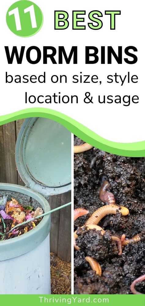 We review the best worm bins for vermicomposting, based on your Size, Style, Location, And Usage. Whether you starting a worm farm outdoors or need an indoor option for an apartment, want to teach your kids about the vermicompost process, or looking for the best all-around solution, you’ll find a bin for your vermicompost needs here. #vermicomposting #wormcomposting #wormbins #wormfarm #composting Vermiculture Worm Farm, Raising Worms, Vermicomposting Worm Farm, Worms Preschool, Worm Farm Diy, Worm Bins, Worm Composting Bin, Tomatoes Growing, Worm Farming