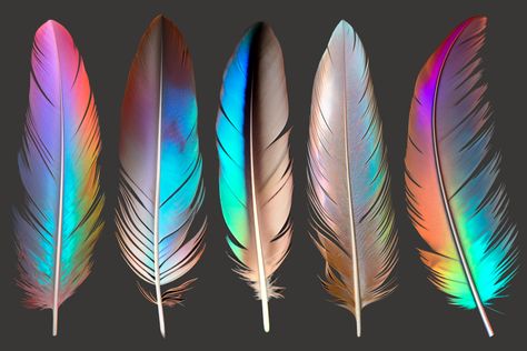 #bird #feathers #iridescent #holographic #color Iridescent Bird Wings, Iridescent Animals, Iridescent Bird, Corset Ideas, Iridescent Feathers, Metallic Painting, Iridescent Wings, Holographic Color, Mha Dr