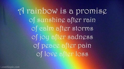 A Rainbow is.... quote rainbow lifequote promise Sunshine After Rain, Rainbow Quote, God's Promise, After Rain, Rainbow Connection, Life Quotes Love, Love Rainbow, Baby Quotes, Gods Promises