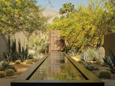 Japanese Garden Creates Beauty at Home in Palm Springs Desert Fountain, Japanese Style Garden, Lap Swimming, Japanese Sakura, Fan Palm, Zen Buddhism, Earthy Color Palette, Glass Front Door, Japanese Cherry Blossom