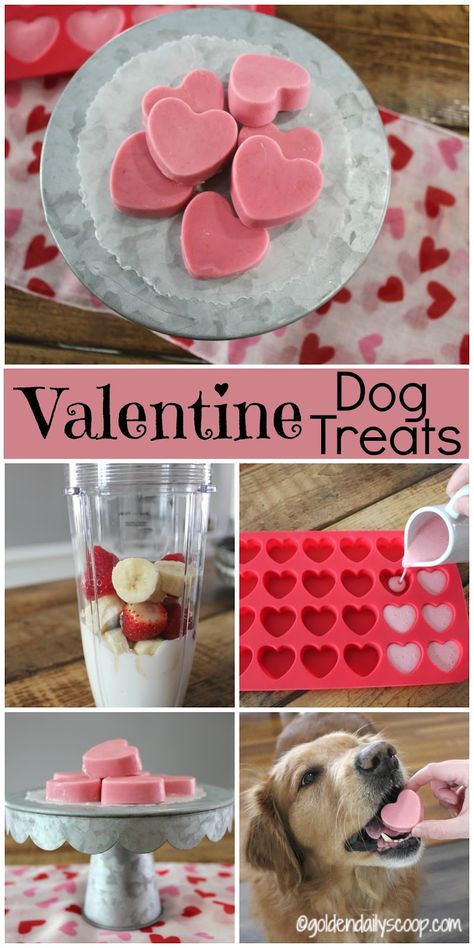 Homemade Dog Cookies, Pet Treats Recipes, Dog Treats Homemade Easy, Easy Dog Treat Recipes, Valentine's Day Treats, Frozen Dog Treats, Dog Biscuit Recipes, Easy Dog Treats, Easy Valentines