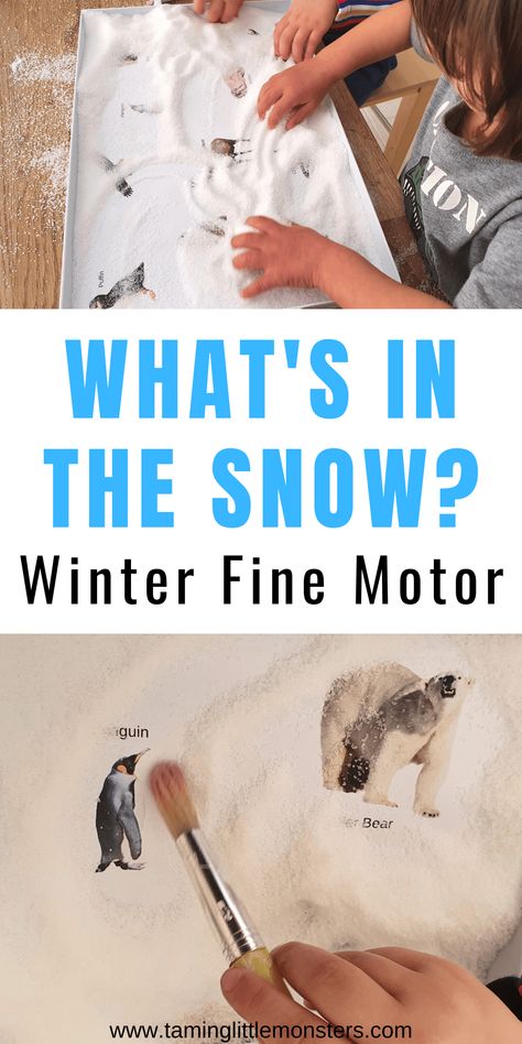 Winter Fine Motor, Winter Animals Preschool, Arctic Animals Preschool, Winter Activities For Toddlers, Winter Lesson Plan, Winter Theme Preschool, Winter Crafts Preschool, Winter Activities Preschool, Fine Motor Activity