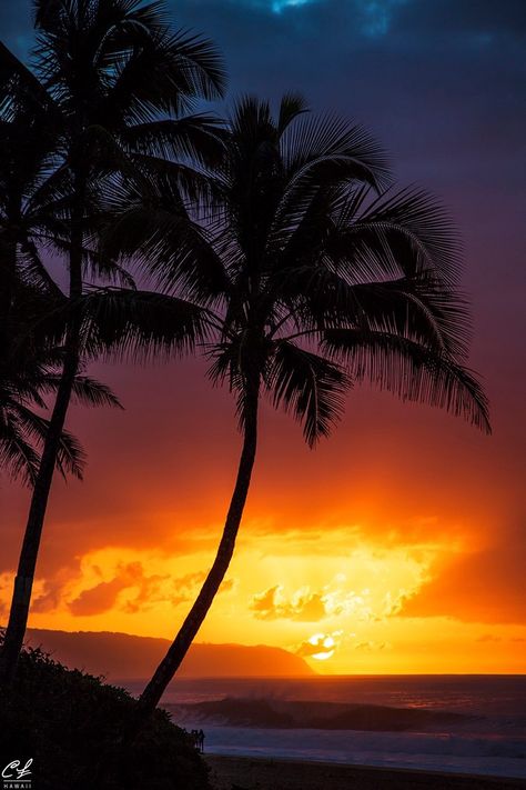 Sunrise Wallpaper, Hawaiian Sunset, Destination Photography, Tropical Beaches, Amazing Sunsets, Hawaii Island, Beautiful Sunrise, Sunset Pictures, Beach Scenes