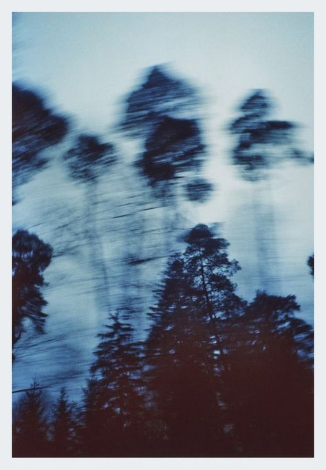 marina richter Uk Icon, Blur Photography, Foto Art, Feeling Blue, Teenage Years, Photography Inspo, Blue Aesthetic, Wisteria, The Words