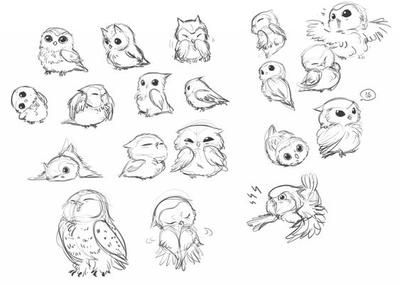 Baby Owl Tattoos, Cute Owl Tattoo, Owl Sketch, Owls Drawing, Owl Tattoo, Arte Sketchbook, Animal Sketches, Baby Owls, Owl Art