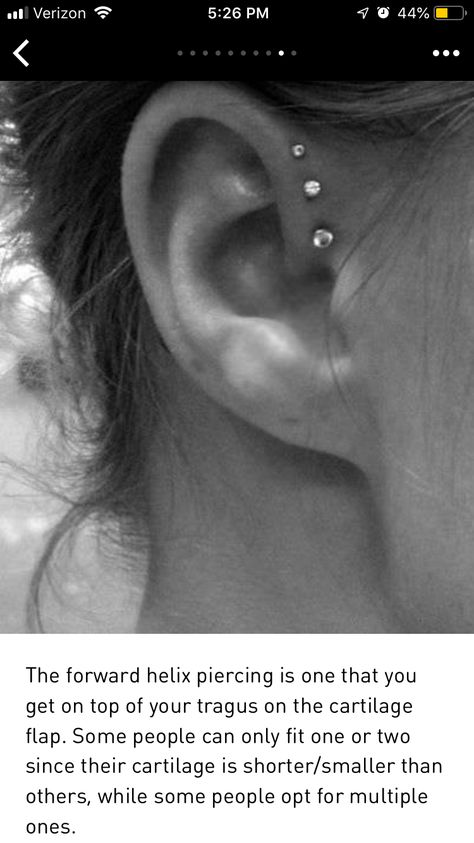 Cute Piercing Placements, Ear Diagram Piercings, Fwd Helix Piercing, Ear Piercing Diagram, Ear Piercings Placement Chart, Ear Diagram, Ušný Piercing, Piercing Inspiration, Ear Piercings Chart