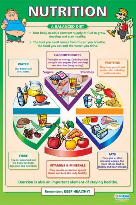 Nutrition Tips and Guide Food Chart For Kids, Food Pyramid Kids, Balanced Diet Chart, Diet Plate, Nutrition Poster, Nutrition Classes, Nutrition Activities, Healthy Food Habits, Nutrition Chart