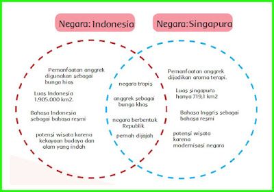 kunci-jawaban-kelas-6-tema-1-halaman-14 Pie Chart, Map