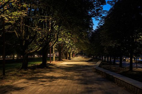 The Island of Immanuel Kant, Russia – darc awards Up Lighting Trees, Lights In Oak Trees, Tree Up Lighting Landscape, Lighting Oak Trees, Uplit Trees Outdoor Lighting, Arch Light, Cathedral Setting, Shadow Images, Glamping Resorts