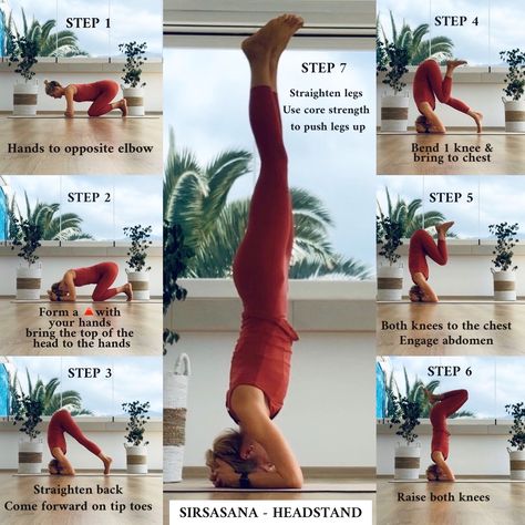 Step by step into sirsasana #sirsasana #headstand #yoga #yogaforbeginners #yogatutorials #yogateacher How To Headstand Yoga Beginner, Yoga Step By Step, Yoga Headstand Poses, Yoga Headstand For Beginners, Yoga Inversions For Beginners, Yoga Handstand Beginner, Headstand Beginner, Handstand Step By Step, Headstand Yoga Beginner